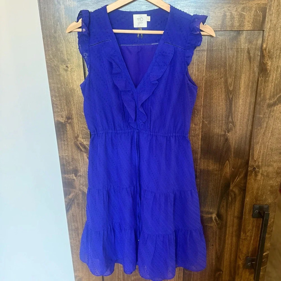 HD in Paris Royal Blue Ruffle Dress Women 0 Sleeveless Fit 
Flare Anthropologie - Picture 5 of 9